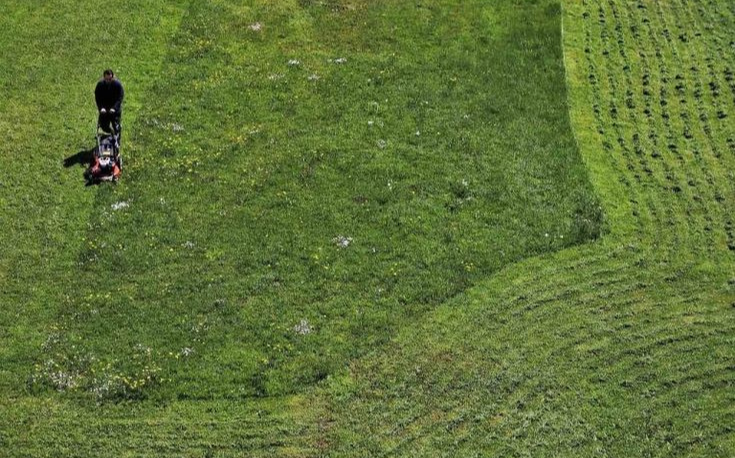 Proses pemotongan rumput hingga rapi