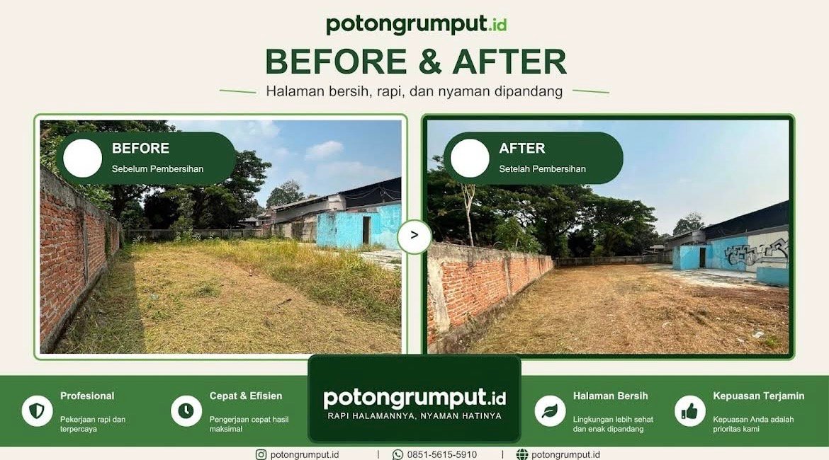 Before dan after pembersihan halaman PotongRumput.id