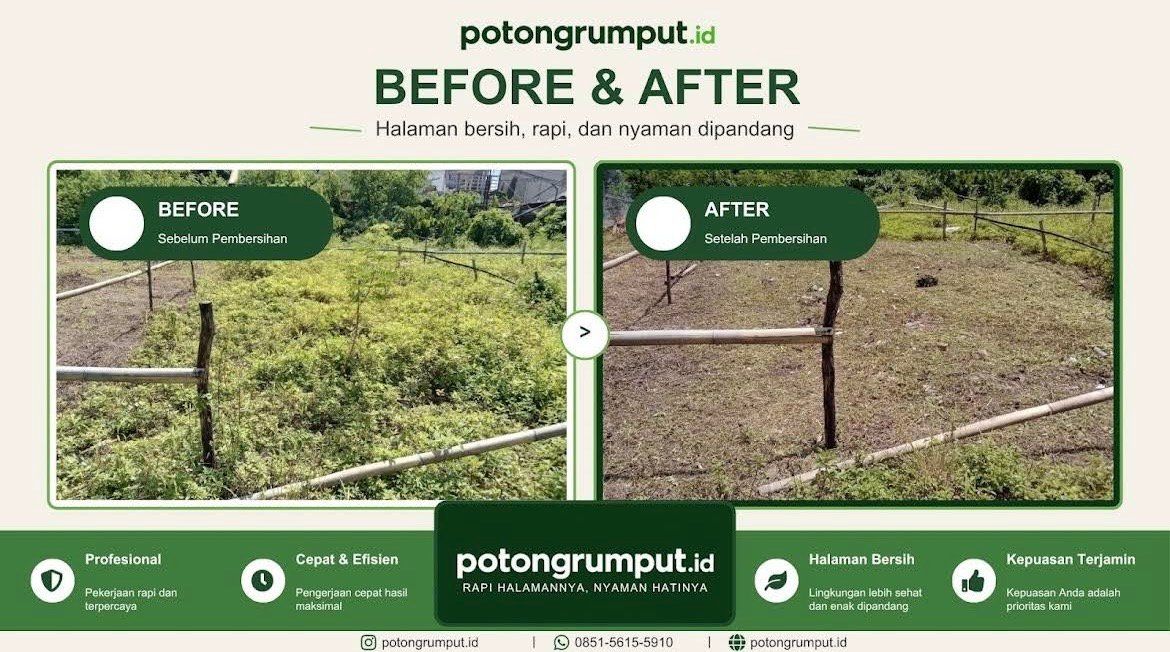 Hasil jasa potong rumput PotongRumput.id